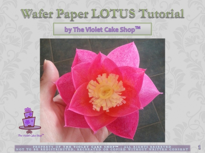 Wafer Paper Lotus Tutorial